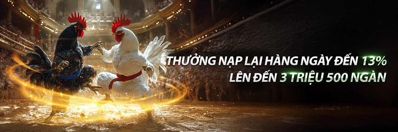 Giao diện ứng dụng 68gb Đá Gà trên điện thoại